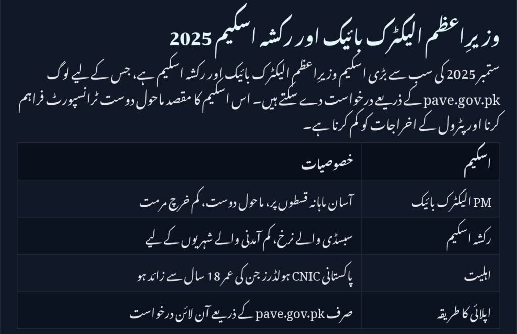 pave.gov.pk Online Apply
