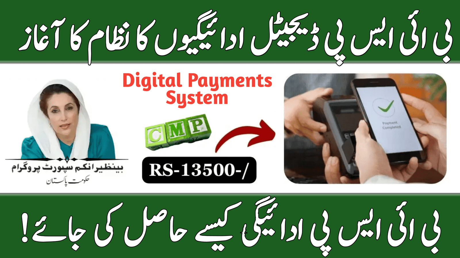 BISP 8171 Digital Payments System