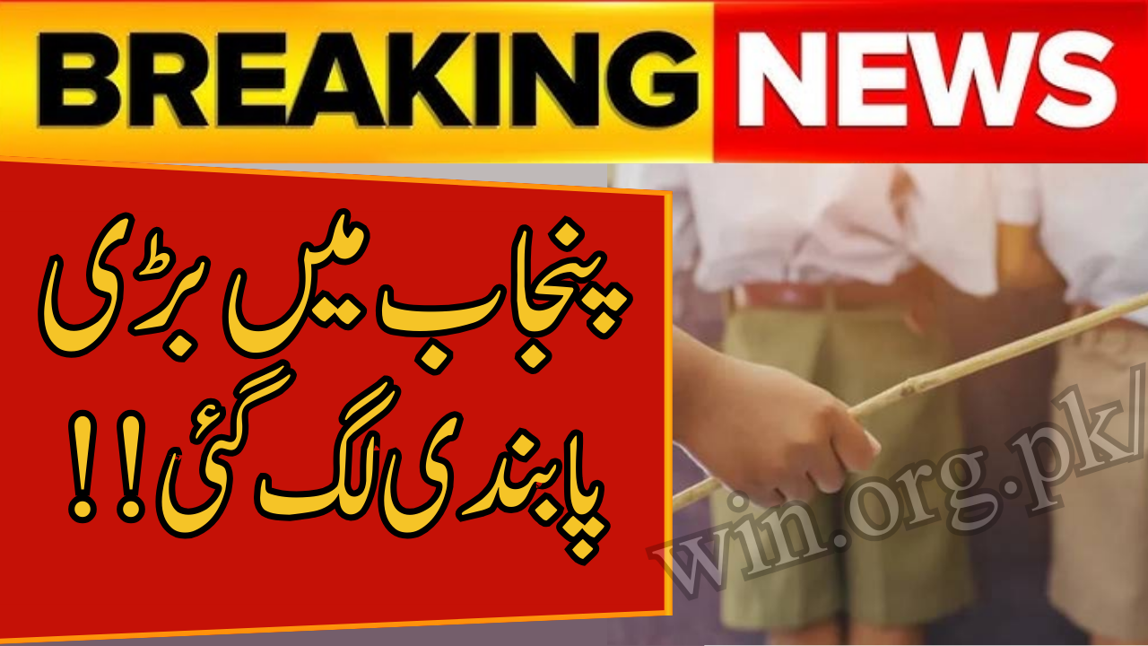 Strict Ban on Sticks in Schools