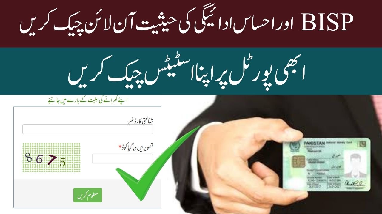 8171 Tracking Portal 2026