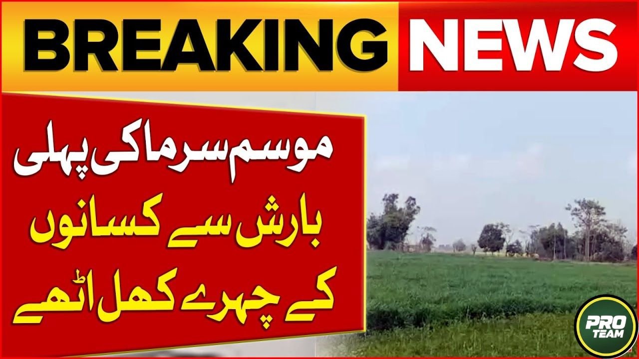 Winter Rainfall Brings Relief For Wheat