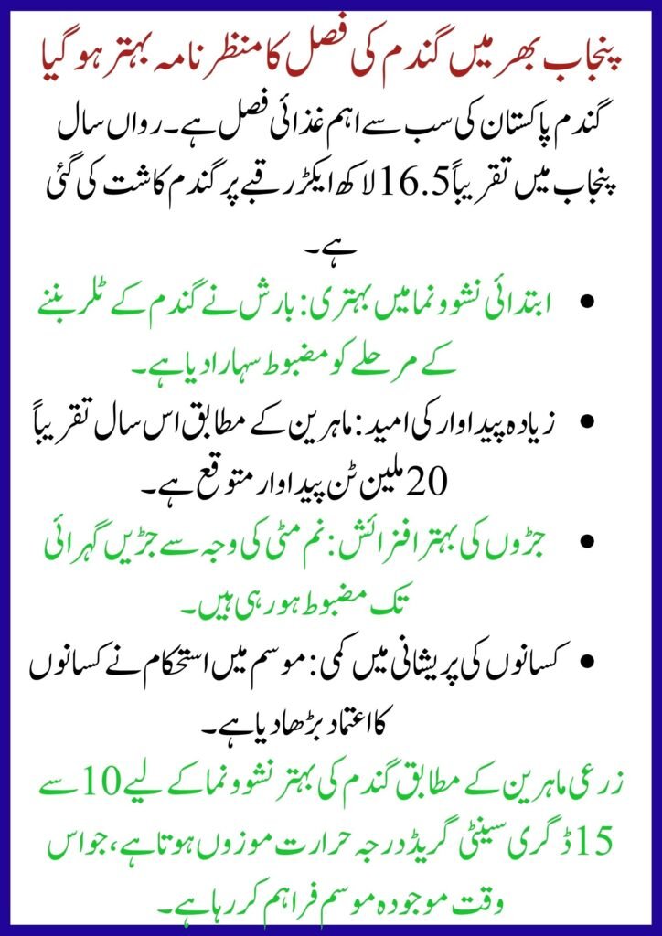 Winter Rainfall Brings Relief