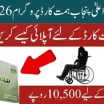 CM Punjab Himmat Card